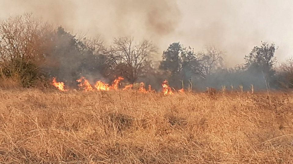 Video: la quema de pastizales y cañaverales no da respiro en el ...