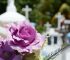 Tucumán decretó asueto administrativo y escolar para el lunes 2 de noviembre cementerio de oeste