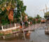 arboles-caidos-monteros-1