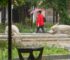 Este jueves se esperan lluvias por la tarde lluvia primavera