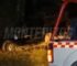 Tragedia en la Ruta 307: un hombre murió tras chocar con su camioneta contra un árbol Fatal accidente ruta 307