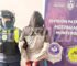 Detuvieron a una ladrona de 51 años luego de robar un celular en una carnicería monteriza monteros-ladrona-carniceria-celular