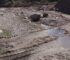 La Comunidad Diaguita de El Mollar pidió suspender las actividades de canteras sobre el río El Mollar y El Potrerillo Cantera el mollar